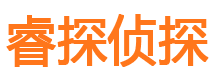 咸丰侦探公司